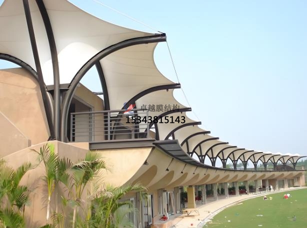 高爾夫膜結構的相關知識點